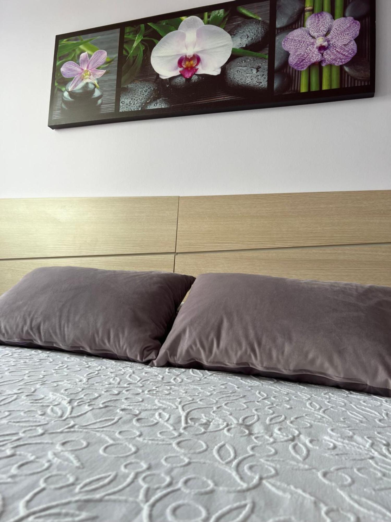 Marusia Apartamento Malpica de Bergantiños Zewnętrze zdjęcie